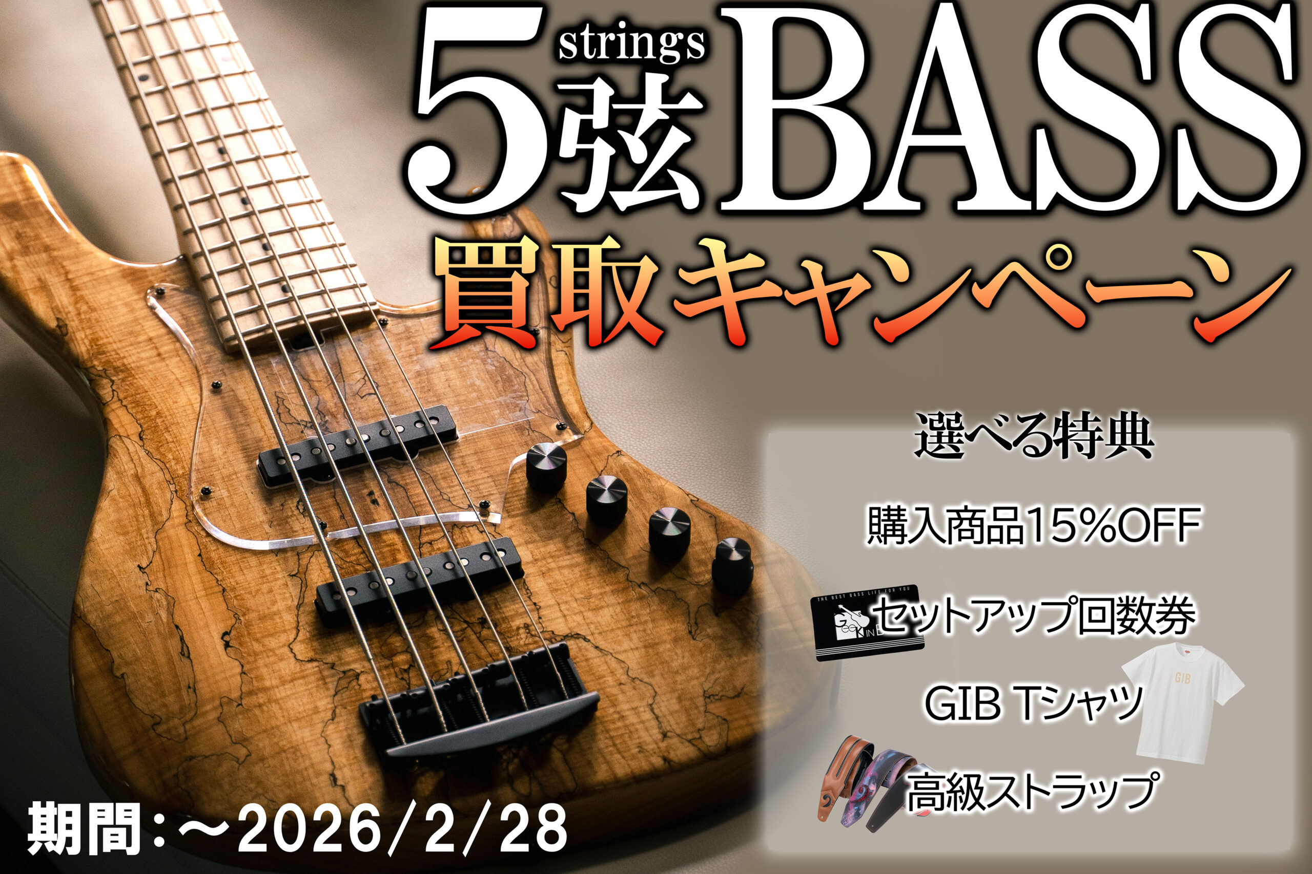 new】tc electronic RH750 - Geek IN Box