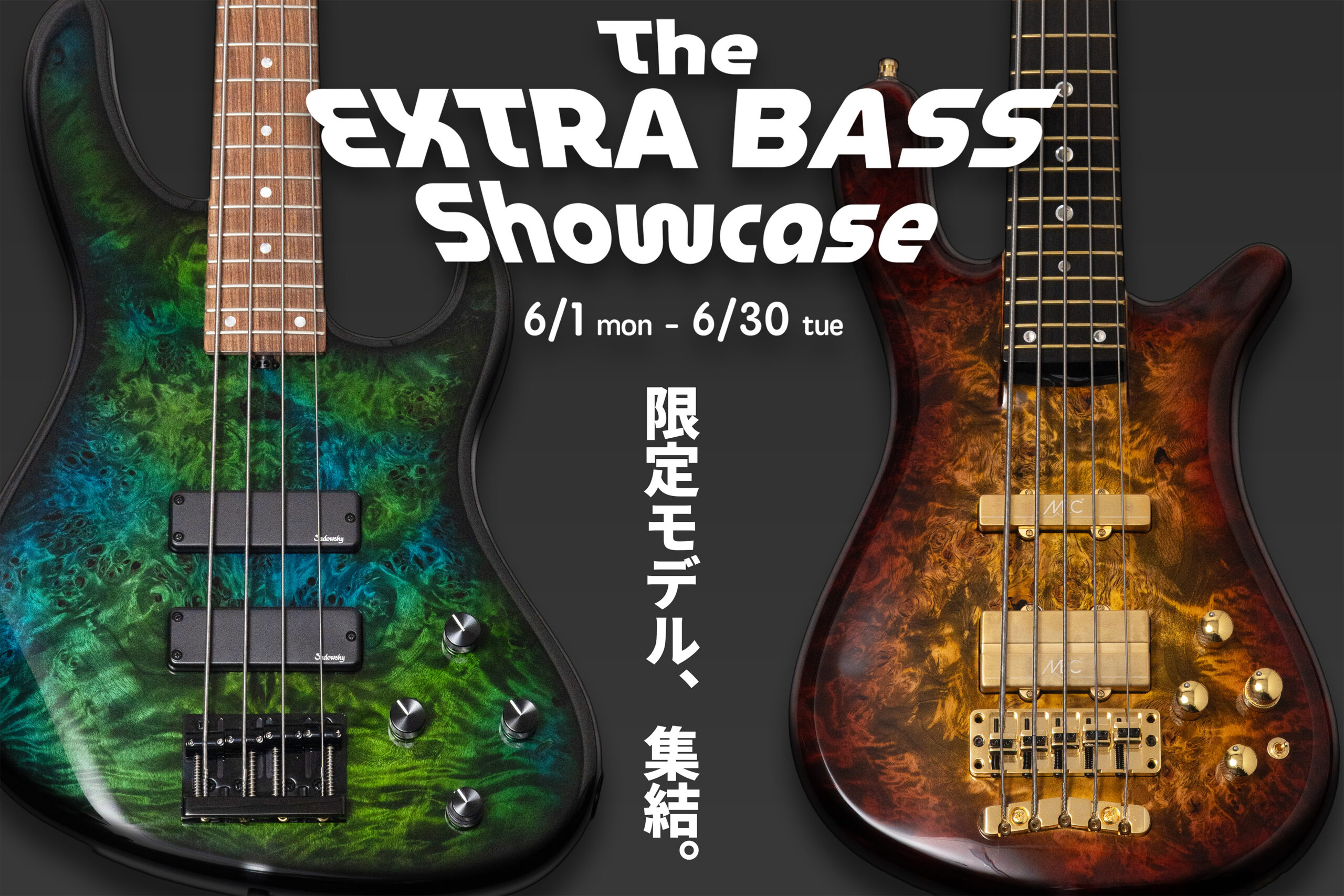 Edwards E-T-125BZ Tetsuyaモデル - Geek IN Box